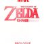 Mature NISE Zelda no Densetsu Prologue- The legend of zelda hentai The