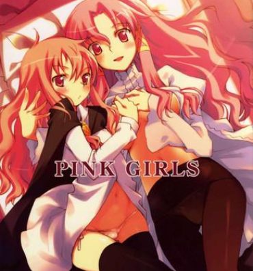 Secretary PINK GIRLS- Zero no tsukaima hentai Mistress