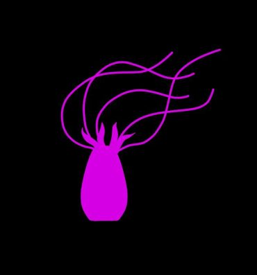 Joi Pink Tentacle Creature- Original hentai Spycam
